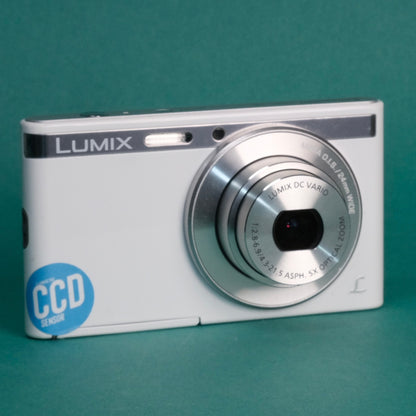 Panasonic XS1 compact digital camera with sample shots, y2k effect, student