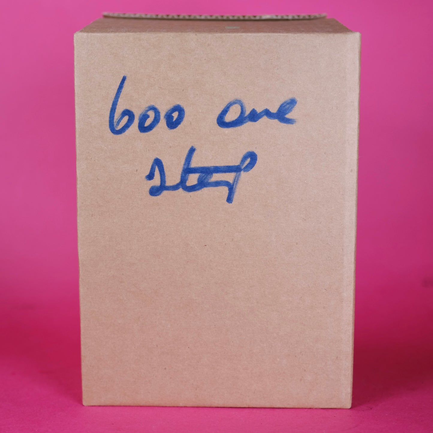 Polaroid one step 600 (ex display) perfect condition